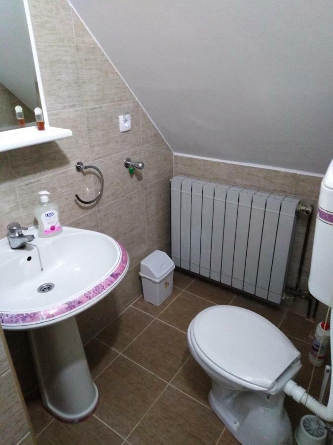 באינה באשטה Guest House Aleksandra מראה חיצוני תמונה